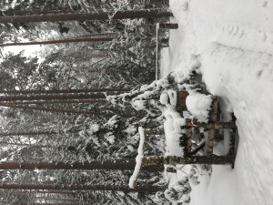 karula-20-sniega-vardi
