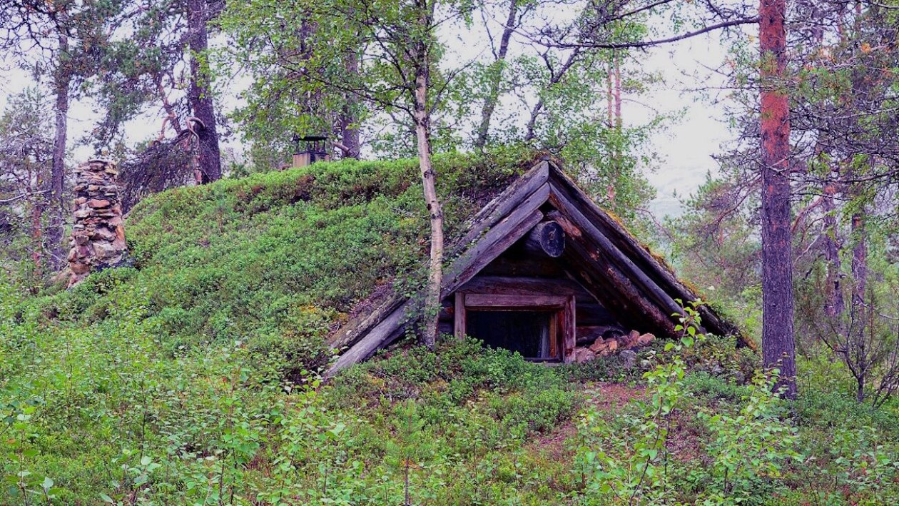 Kammi
