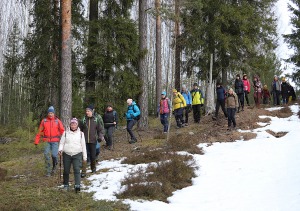 pavasara-sersna-karku-puse