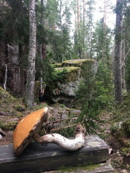 repovesi-takas-somija