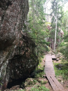 repovesi-takas-somija