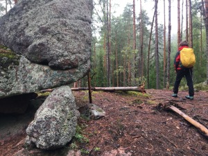 repovesi-takas-somija