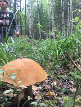 paijanne-ilves-pargajienu-taka