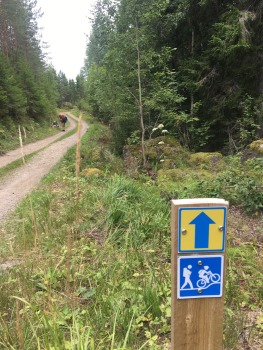 paijanne-ilves-pargajienu-taka