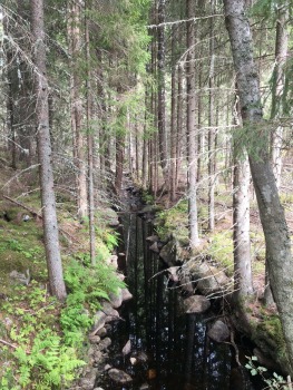 paijanne-ilves-pargajienu-taka