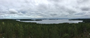 paijanne-ilves