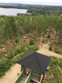 paijanne-ilves