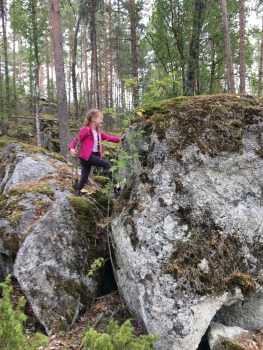 paijanne-ilves