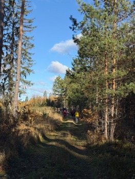 rudens-lapas-sedas-krasta